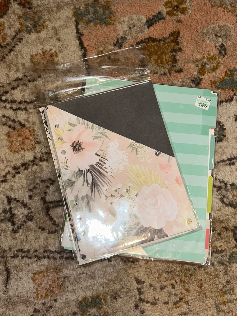 The Happy Planner Mint Striped Budget Planner Pages